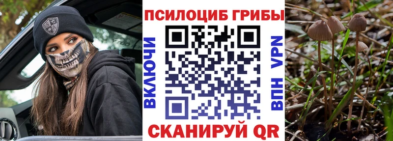 Купить закладки  Мирный  Галлюциногенные грибы MAGIC MUSHROOMS 